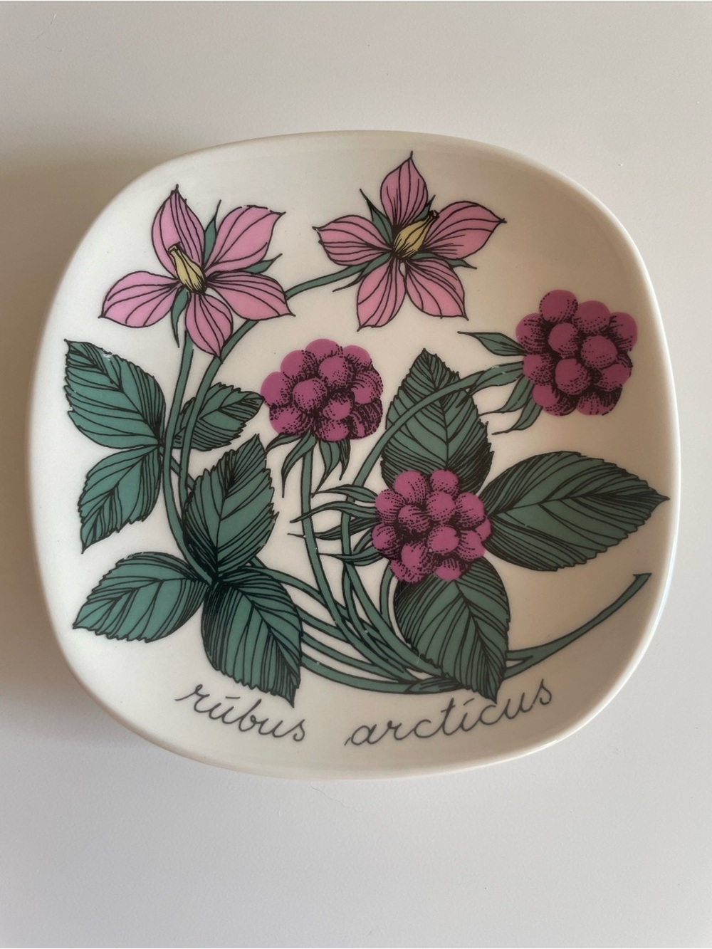 Rübus Arcticus Pink Floral Decorative Plate